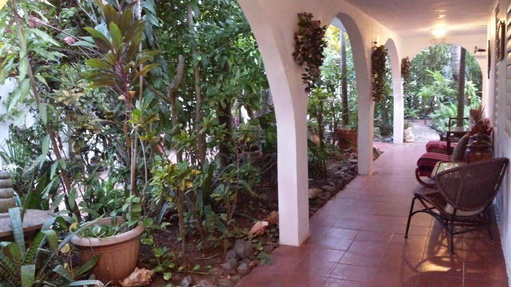 Coconut Palms Inn Rincón Eksteriør bilde